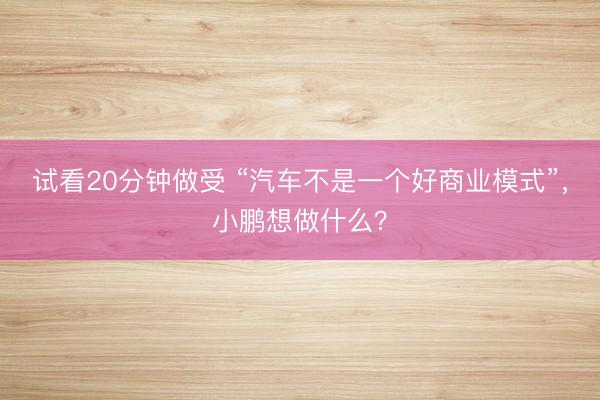 试看20分钟做受 “汽车不是一个好商业模式”，小鹏想做什么？