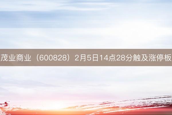 茂业商业（600828）2月5日14点28分触及涨停板