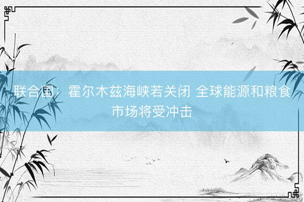 联合国：霍尔木兹海峡若关闭 全球能源和粮食市场将受冲击