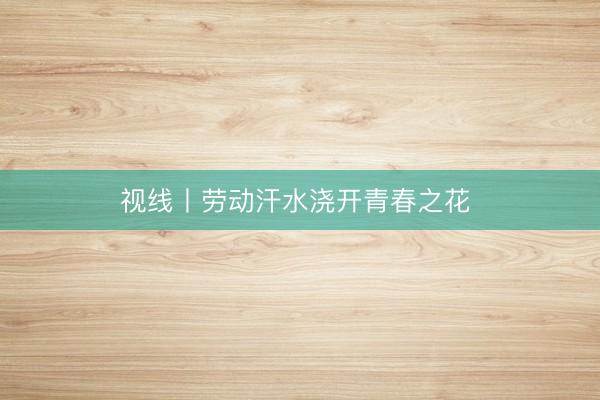 视线丨劳动汗水浇开青春之花