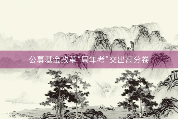 公募基金改革“周年考”交出高分卷