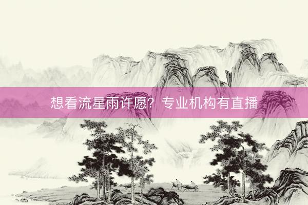 想看流星雨许愿？专业机构有直播