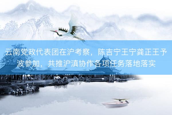 云南党政代表团在沪考察，陈吉宁王宁龚正王予波参加，共推沪滇协作各项任务落地落实