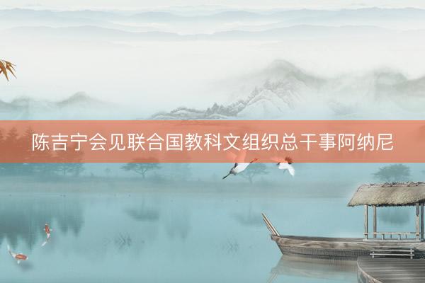 陈吉宁会见联合国教科文组织总干事阿纳尼