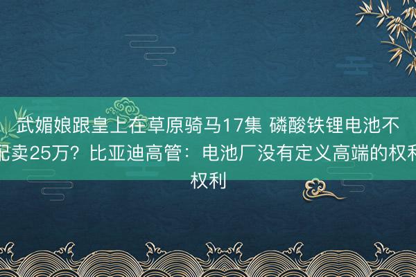 武媚娘跟皇上在草原骑马17集 磷酸铁锂电池不配卖25万？比亚迪高管：电池厂没有定义高端的权利