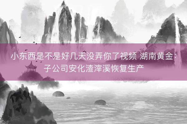 小东西是不是好几天没弄你了视频 湖南黄金：子公司安化渣滓溪恢复生产