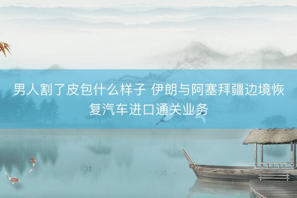 男人割了皮包什么样子 伊朗与阿塞拜疆边境恢复汽车进口通关业务