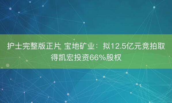 护士完整版正片 宝地矿业：拟12.5亿元竞拍取得凯宏投资66%股权