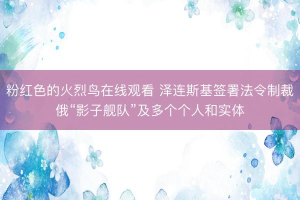 粉红色的火烈鸟在线观看 泽连斯基签署法令制裁俄“影子舰队”及多个个人和实体