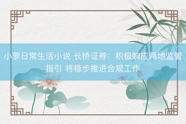 小萝日常生活小说 长桥证券:积极响应两地监管指引 将稳步推进合规工作