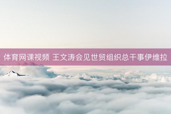 体育网课视频 王文涛会见世贸组织总干事伊维拉