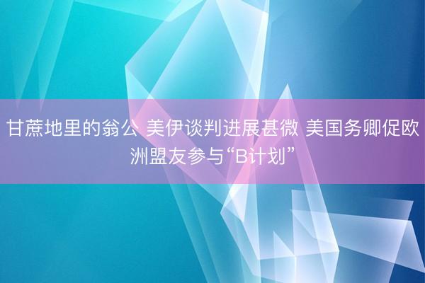甘蔗地里的翁公 美伊谈判进展甚微 美国务卿促欧洲盟友参与“B计划”