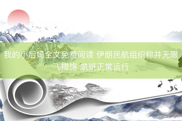 我的小后妈全文免费阅读 伊朗民航组织称并无限飞措施 航班正常运行