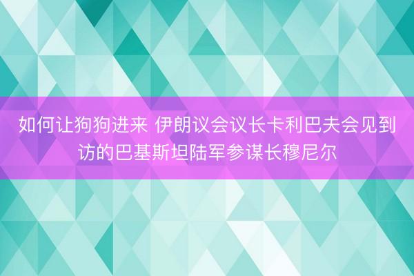 如何让狗狗进来 伊朗议会议长卡利巴夫会见到访的巴基斯坦陆军参谋长穆尼尔