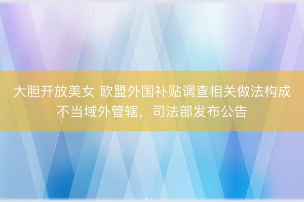 大胆开放美女 欧盟外国补贴调查相关做法构成不当域外管辖,司法部发布公告
