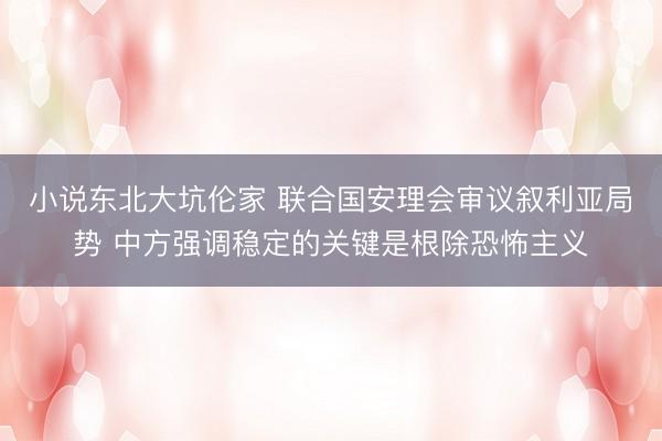 小说东北大坑伦家 联合国安理会审议叙利亚局势 中方强调稳定的关键是根除恐怖主义