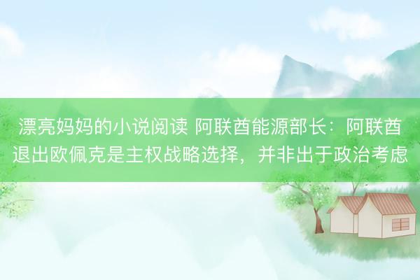 漂亮妈妈的小说阅读 阿联酋能源部长：阿联酋退出欧佩克是主权战略选择，并非出于政治考虑