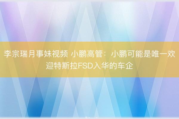 李宗瑞月事妹视频 小鹏高管:小鹏可能是唯一欢迎特斯拉FSD入华的车企