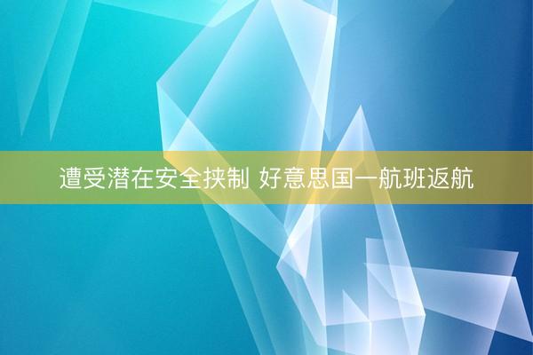 遭受潜在安全挟制 好意思国一航班返航