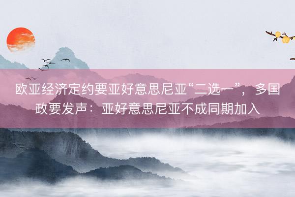 欧亚经济定约要亚好意思尼亚“二选一”，多国政要发声：亚好意思尼亚不成同期加入