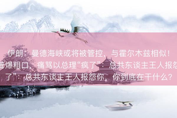 伊朗：曼德海峡或将被管控，与霍尔木兹相似！海外油价大涨！特朗普爆粗口，痛骂以总理“疯了”：总共东谈主王人报怨你，你到底在干什么？