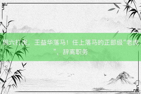 周六打虎，王益华落马！任上落马的正部级“老虎”，辞离职务