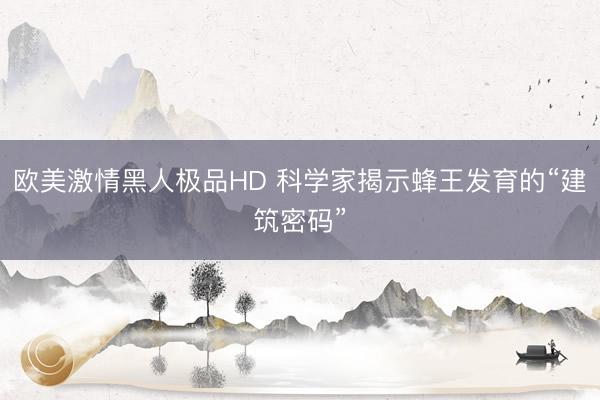 欧美激情黑人极品HD 科学家揭示蜂王发育的“建筑密码”