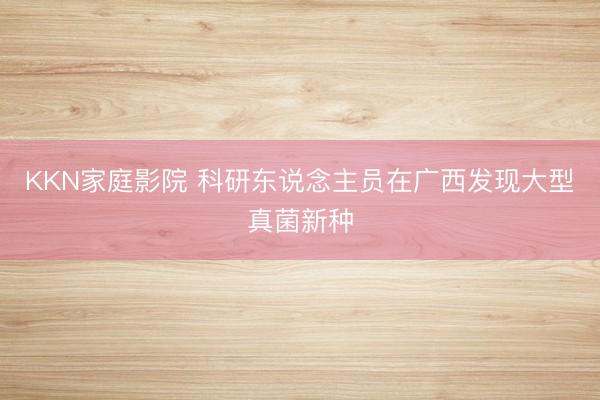 KKN家庭影院 科研东说念主员在广西发现大型真菌新种
