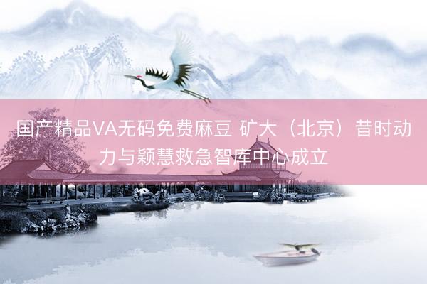 国产精品VA无码免费麻豆 矿大（北京）昔时动力与颖慧救急智库中心成立
