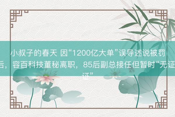 小叔子的春天 因“1200亿大单”误导述说被罚后，容百科技董秘离职，85后副总接任但暂时“无证”