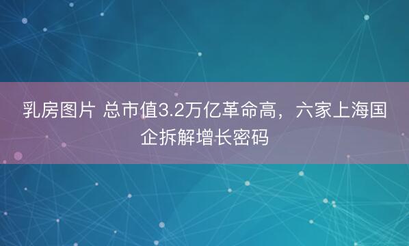 乳房图片 总市值3.2万亿革命高，六家上海国企拆解增长密码