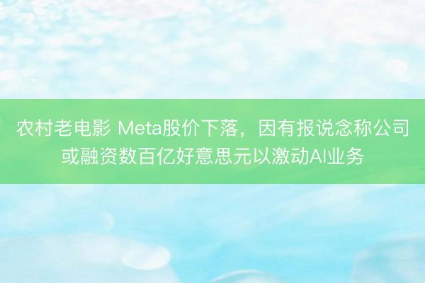 农村老电影 Meta股价下落，因有报说念称公司或融资数百亿好意思元以激动AI业务