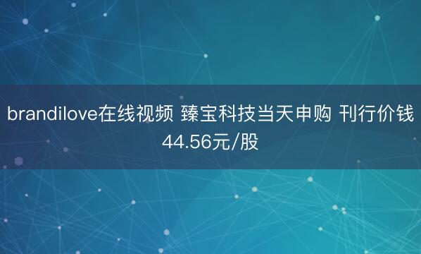 brandilove在线视频 臻宝科技当天申购 刊行价钱44.56元/股