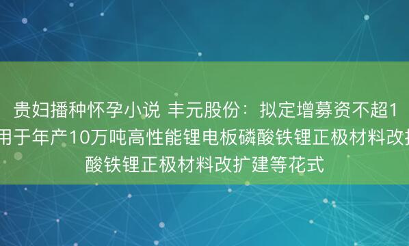贵妇播种怀孕小说 丰元股份：拟定增募资不超14.28亿元 用于年产10万吨高性能锂电板磷酸铁锂正极材料改扩建等花式