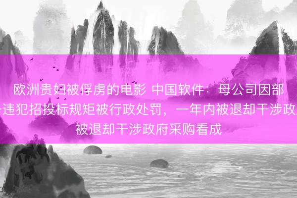 欧洲贵妇被俘虏的电影 中国软件：母公司因部分销售业务违犯招投标规矩被行政处罚，一年内被退却干涉政府采购看成
