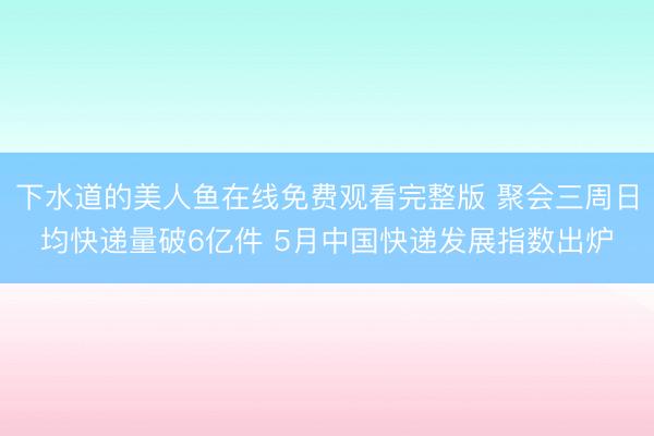 下水道的美人鱼在线免费观看完整版 聚会三周日均快递量破6亿件 5月中国快递发展指数出炉