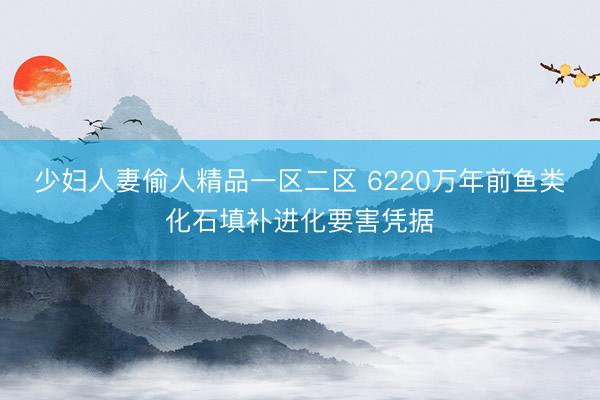 少妇人妻偷人精品一区二区 6220万年前鱼类化石填补进化要害凭据