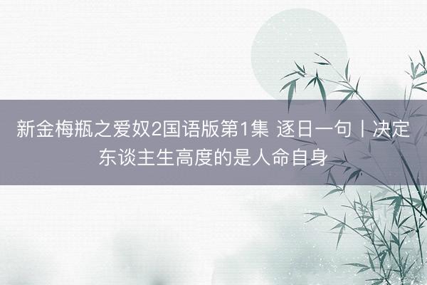 新金梅瓶之爱奴2国语版第1集 逐日一句丨决定东谈主生高度的是人命自身