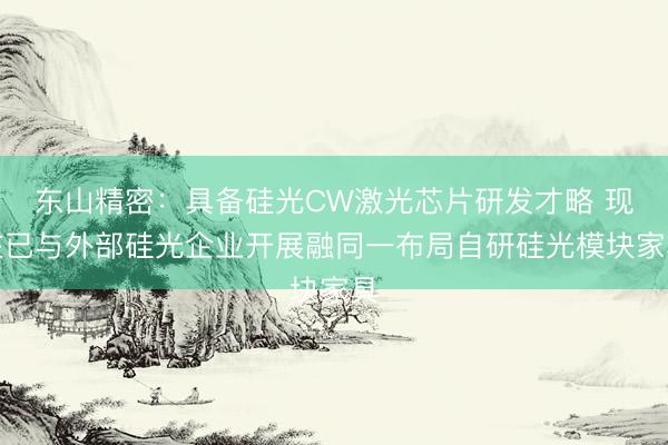 东山精密:具备硅光CW激光芯片研发才略 现在已与外部硅光企业开展融同一布局自研硅光模块家具