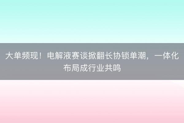 大单频现！电解液赛谈掀翻长协锁单潮，一体化布局成行业共鸣