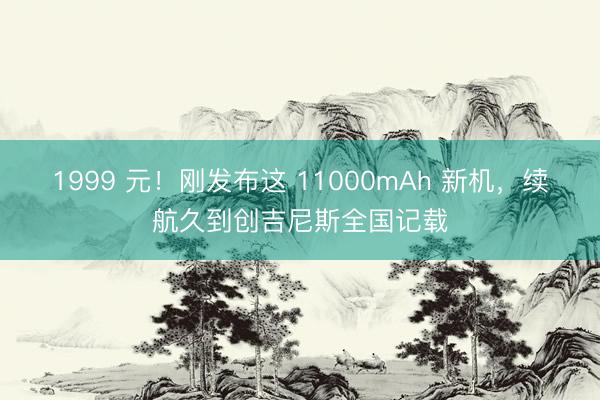 1999 元！刚发布这 11000mAh 新机，续航久到创吉尼斯全国记载